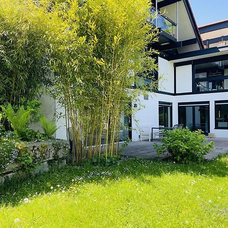다이젠도르프 Blick Ins Gruene 아파트 외부 사진